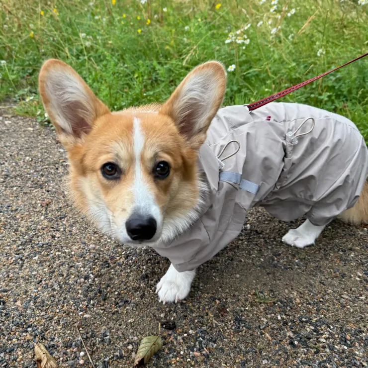 Ollipet Poncho Regndragt | Khaki