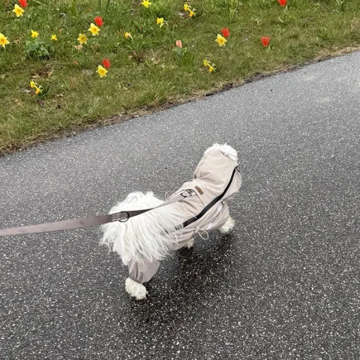 Ollipet Poncho Regndragt | Khaki