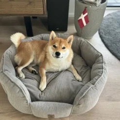 Ollipet Quinn hundeseng