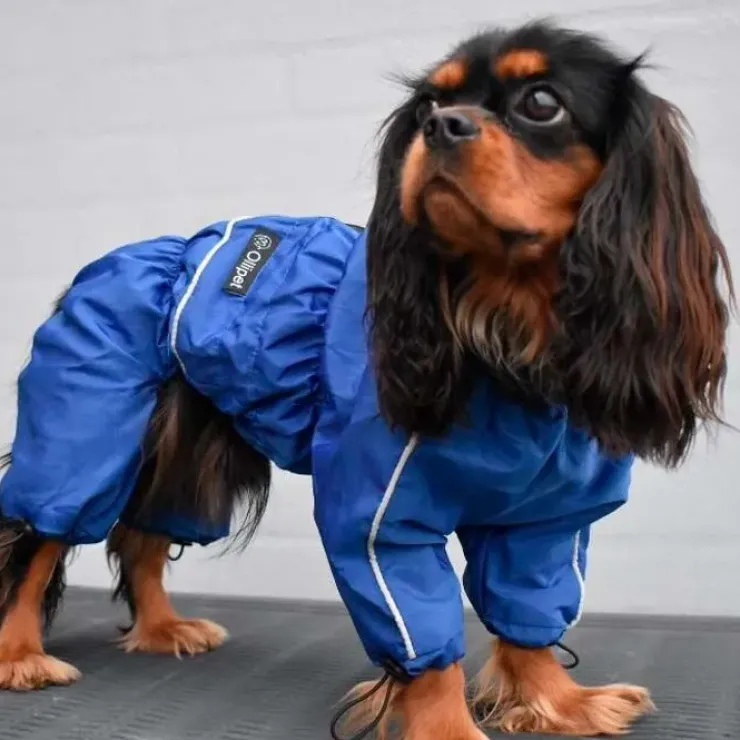 Ollipet regndragt til hunde | Color Collection | OUTLET