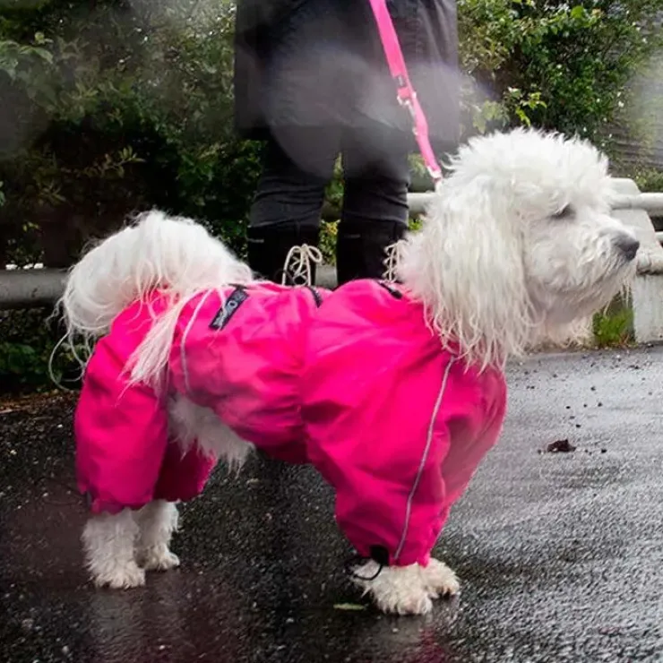 Ollipet regndragt til hunde | Color Collection | OUTLET