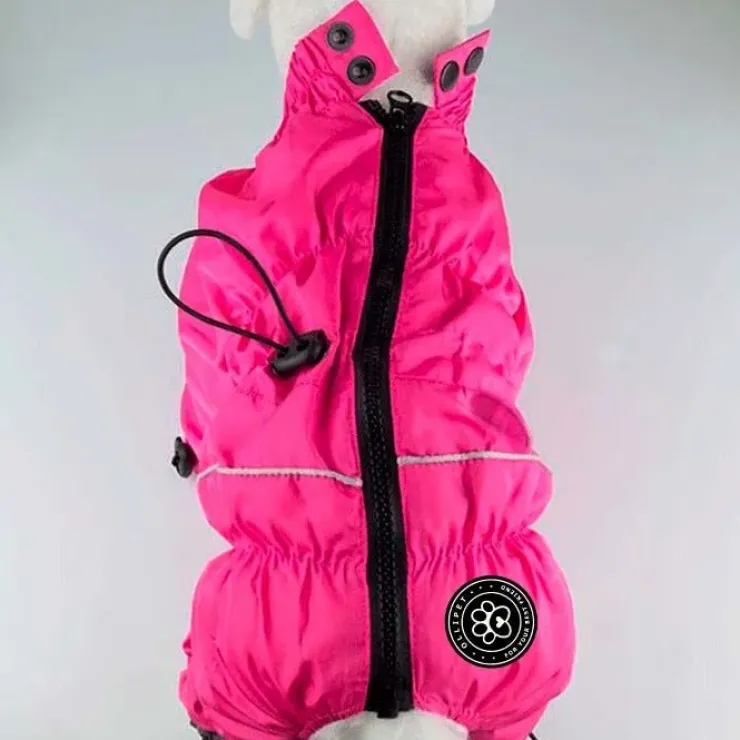 Ollipet regndragt til hunde | Color Collection | OUTLET