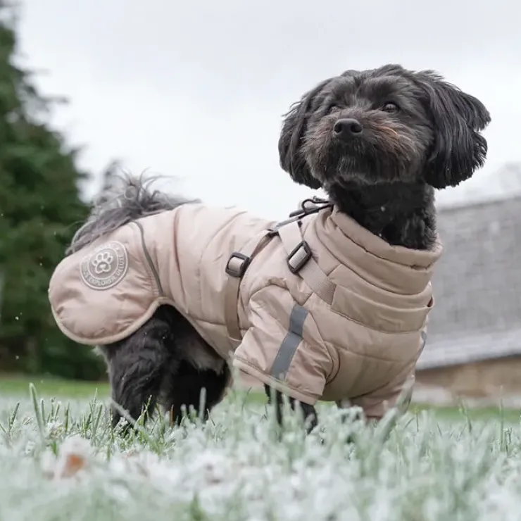 Ollipet Sirius DeLuxe Dynejakke Sand | OUTLET