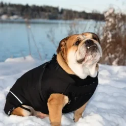 Ollipet Sirius Strong Body Dynejakke | M. Sele