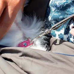 Ollipet skuldertaske til mindre hunde