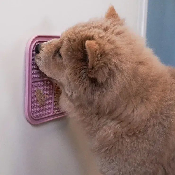 Ollipet slikkeplade med dejskraber