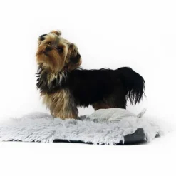 Ollipet Soft Cloud Madras 2in1 | OUTLET