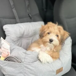 Ollipet Soft Journey bilsæde