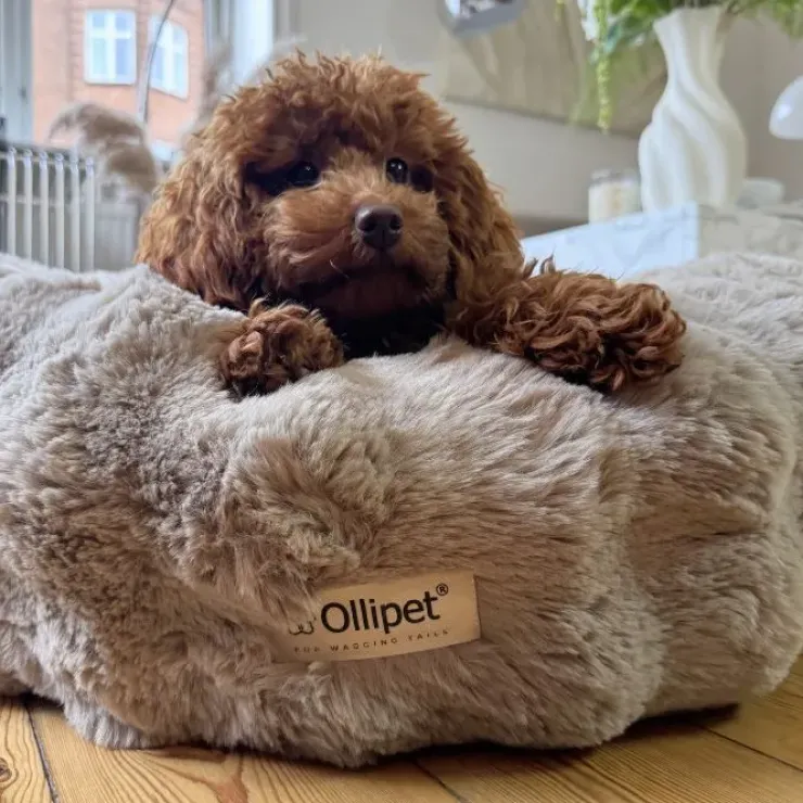 Ollipet Soft Wave Luksus Donutseng | Khaki