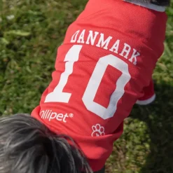 Ollipet Sports T-Shirt