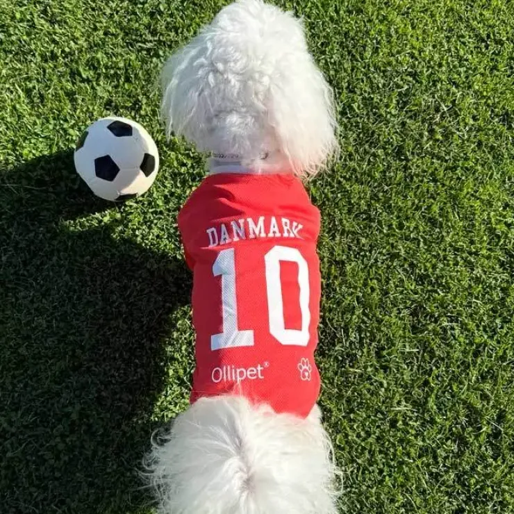 Ollipet Sports T-Shirt
