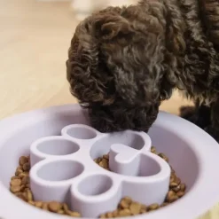 Ollipet Sweet Paw 2i1 | Slikkeskål
