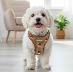 Ollipet Teddy Cow Step-in Sele