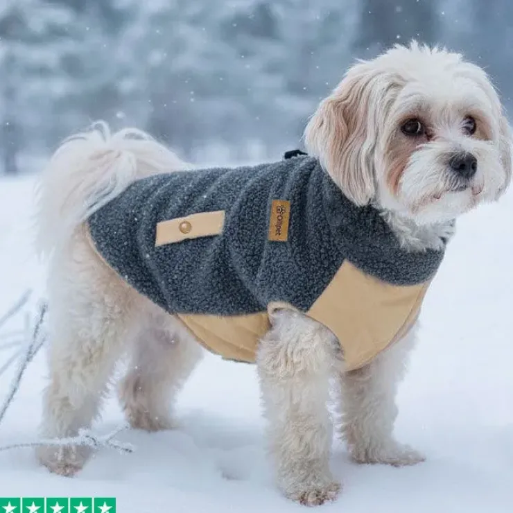 Ollipet Teddy Dækken
