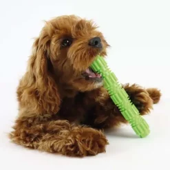 Ollipet Toothbrush Tube| 2 størrelser