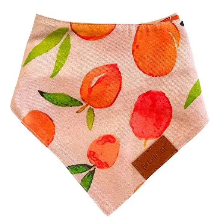 Ollipet Trendy Bandana