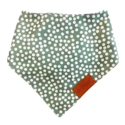 Ollipet Trendy Bandana