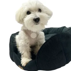 Ollipet Tweed Step-in hundesele | Sand