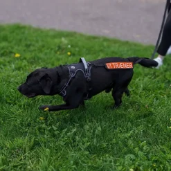 Ollipet VI TRÆNER Mærkat