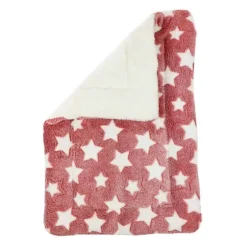 Ollipet Wellness Madras