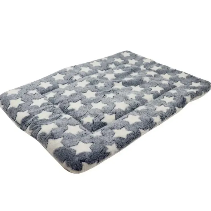 Ollipet Wellness Madras