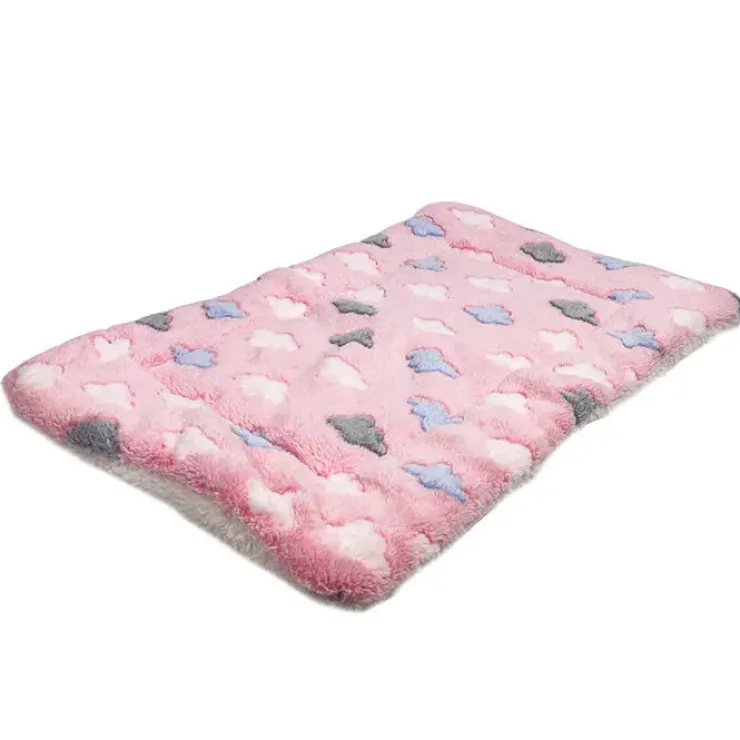 Ollipet Wellness Madras