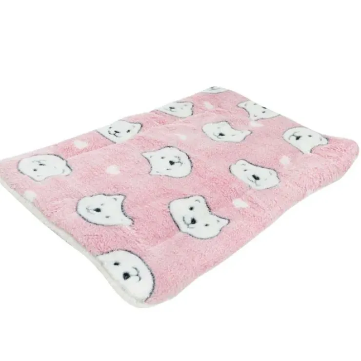 Ollipet Wellness Madras