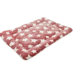 Ollipet Wellness Madras