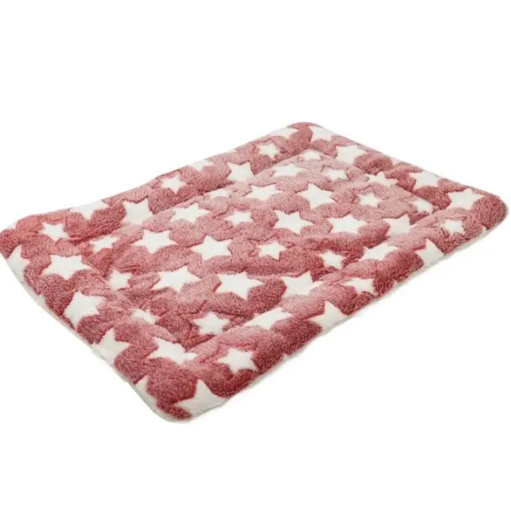 Ollipet Wellness Madras