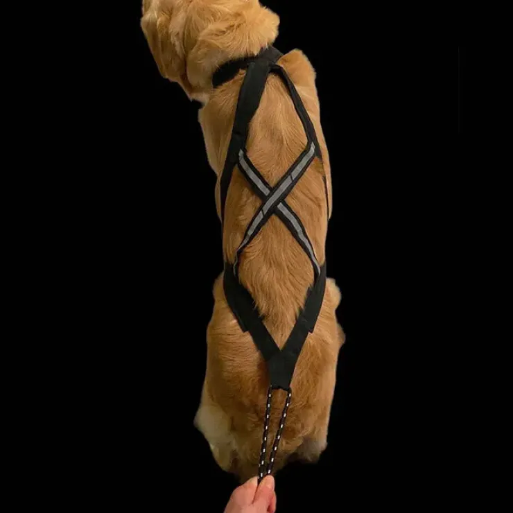Ollipet X-Back Løbesele