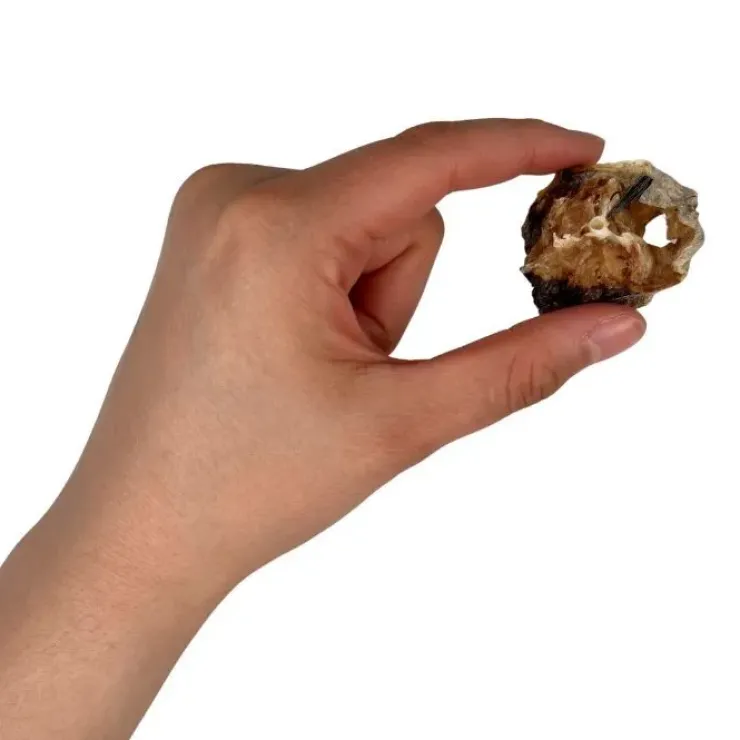 Ozami Dog Snack Hake Steak | 60g