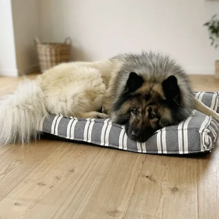 Ozami stribet Hundemadras