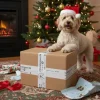 Pakketilbud | Jule Surprise Box