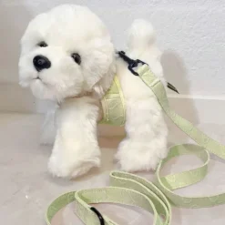 Pakketilbud | Ollie m. Sele og Hundesnor