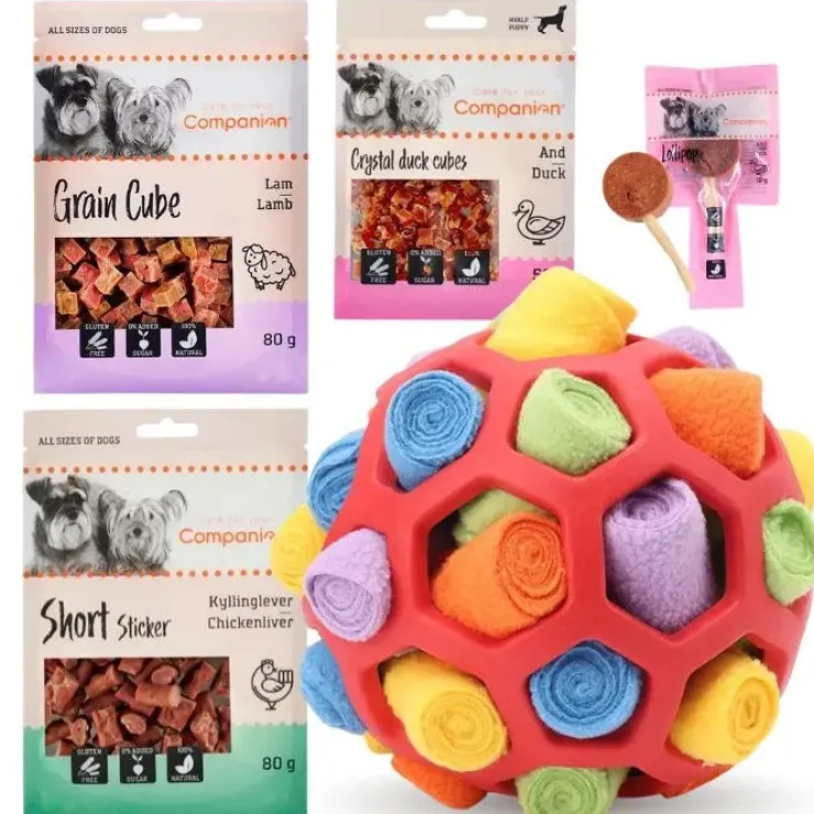 Pakketilbud | Ollipet Holimoli bold og Companion godbidder