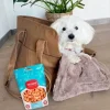 Pakketilbud | Ollipet Nice Hundetaske m. Luksus tæppe og Ficcaro Godbidder