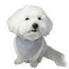 Pakketilbud | Ollipet shoppingnet og bandana m. striber
