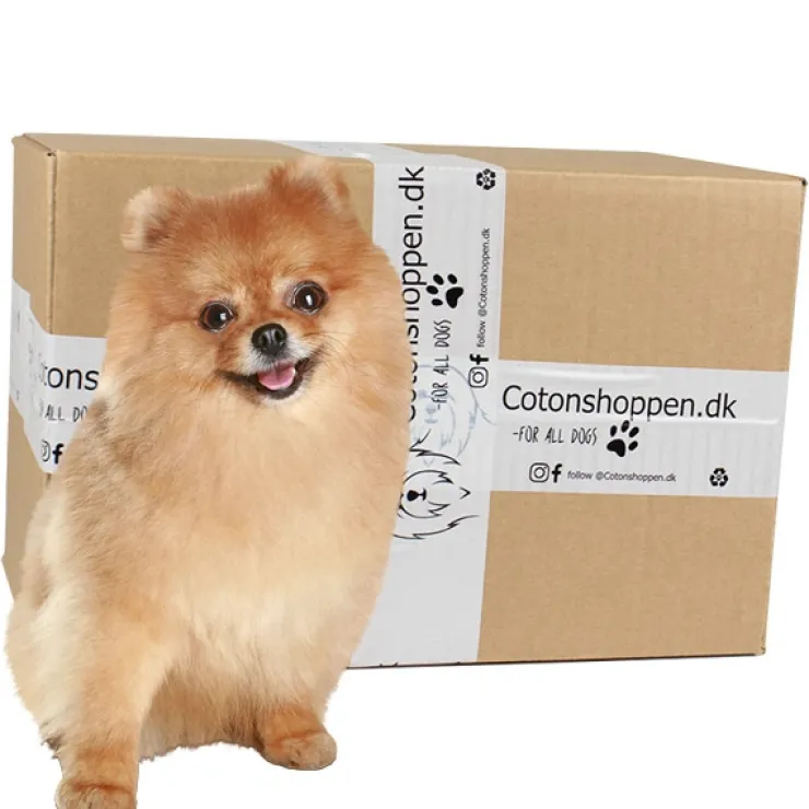Pakketilbud | Small Breed Surprise Box