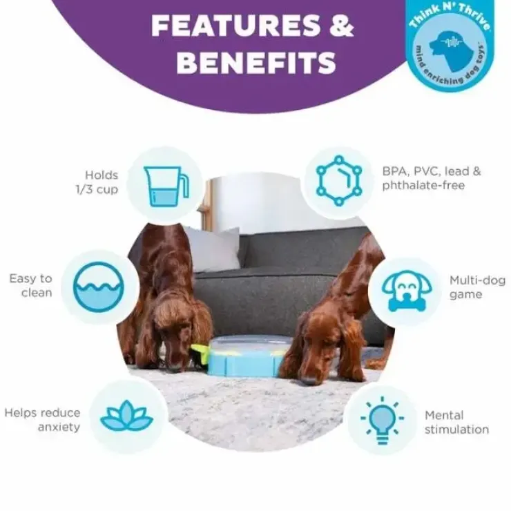 Paw N' Play Aktivitetsspil