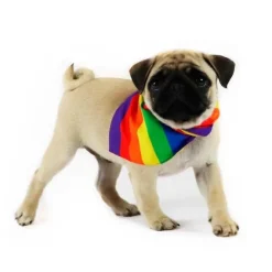 Pride Hundebandana