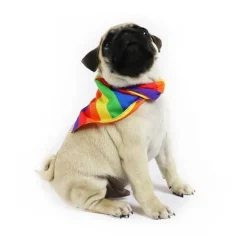 Pride Hundebandana