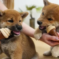 Pup Ice Vaffelis | Vanilje og Peanut Butter 2 stk.