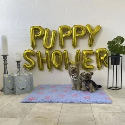 Puppy Shower Ballon | OUTLET