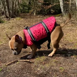 Redningsvest til små hunde