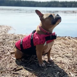 Redningsvest til små hunde