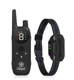 Remote Dog Trainer | Lydighedstræner