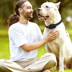 Remote Dog Trainer | Lydighedstræner