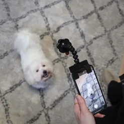 Selfiestang til hunde