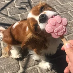 Smoofl Hundeis Poteform