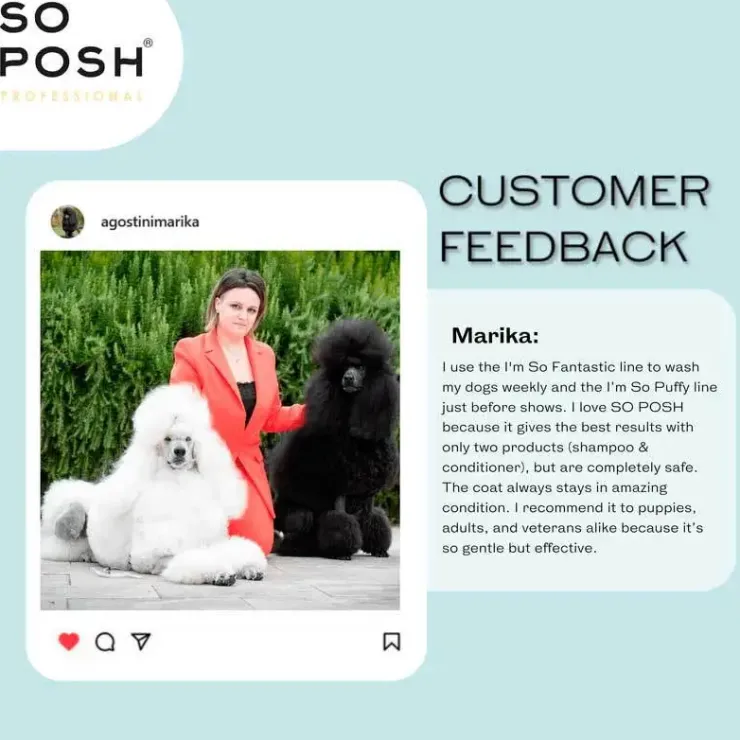 So Posh Professional I'm So Puffy Shampoo